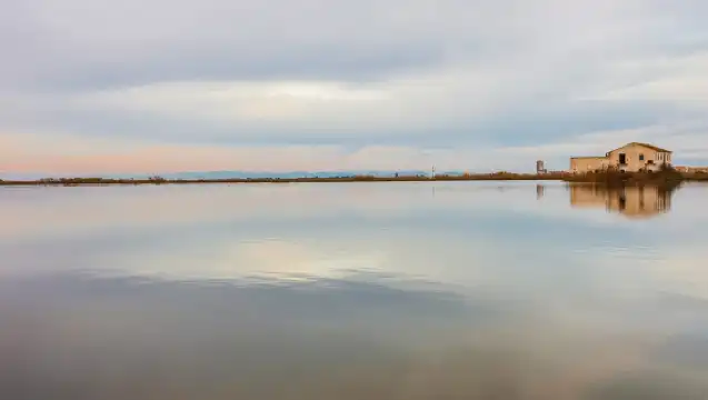 From Valencia: Albufera Natural Park Eco Boat Tour & Sunset