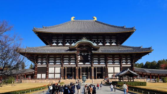 Kyoto: tour storico in autobus di Nara e Kyoto