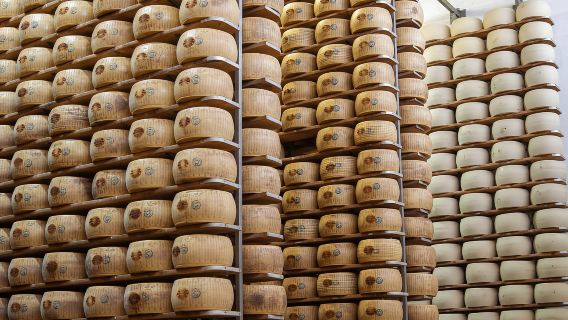 Mencicipi dan Tur Pabrik Parmesan di Formigine, dekat Modena