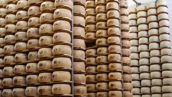 Degustazione e tour della fabbrica di Parmigiano Reggiano a Formigine, vicino a Modena