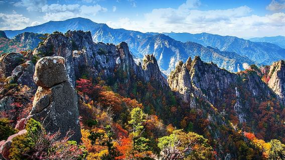 Seúl: Monte Seorak, Isla Nami, sin compras (+opción de tren y bici)