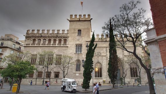 Valencia: Private 2 Hour or Half day City Highlights Tour