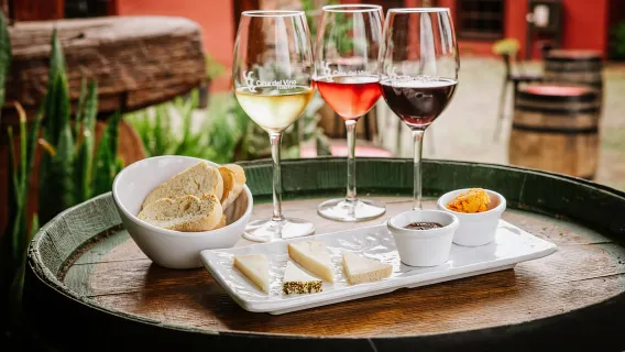 Tenerife: Entrada al Museo del Vino con Cata de Vinos y Comida Local