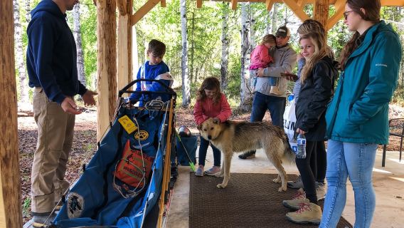Anchorage: giro in slitta trainata da cani a Willow con trasferimenti