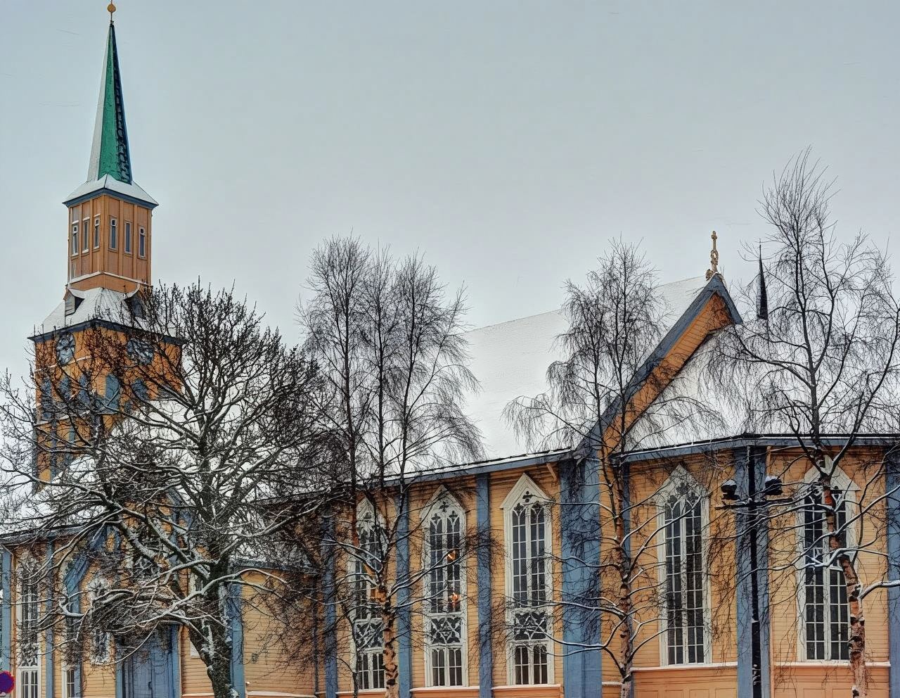 Excursión de un día de ida y vuelta a Senja desde Tromso en Noruega [conductor chino + servicio de coche privado con conductor o traslado en coche compartido]