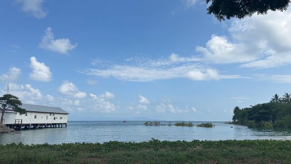 แครนส์: ทัวร์หนึ่งวันแหลมทริบิวเลชั่น, มอสแมนกอร์จ และเดนทรี