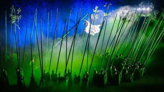 "Impression Dahongpao" - A Must-See Show in Wuyishan! Self-guided tour with no shopping, premium viewing seats