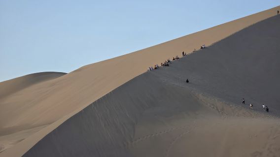 จากลิมา: ทริปวันเดียว Huacachina Oasis พร้อมรถ Buggy Ride