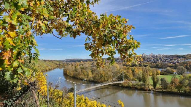 Stuttgart: 4-Castle Winter Hike with Costume Tour