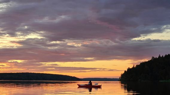 Stockholm: Sunset Kayak Tour on Lake Mälaren with Tea & Cake