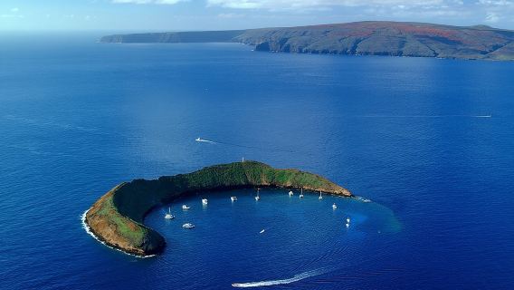 Maui Snorkeling Adventure to Molokini and Turtle Town
