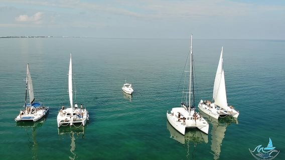 Caye Caulker Sailing with Snorkeling Hol Chan and Shark Ray Alley