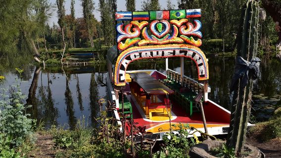 Xochimilco & Coyoacán Private Tour