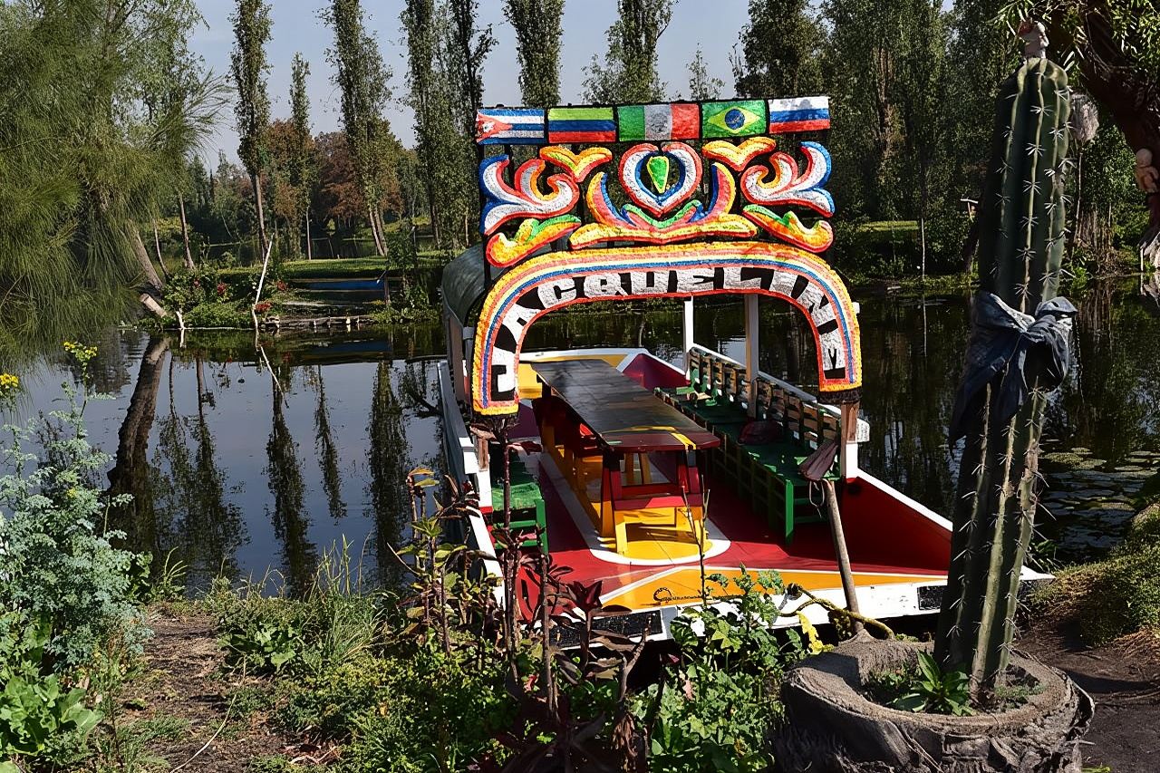 Xochimilco & Coyoacán Private Tour: Canals, Markets & Local Food