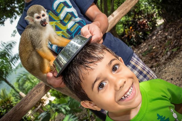 Chuyến tham quan Safari Monkeyland và Plantation từ Punta Cana