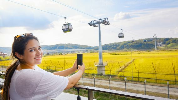 Ultimate Korea DMZ Tour from Seoul (Gondola & Suspension Bridge)
