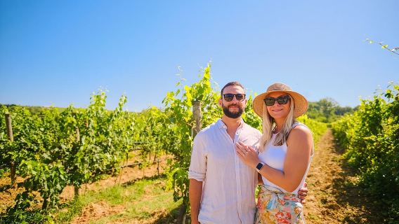 Kebun Anggur Chianti Melarikan Diri dari Florence dengan Dua Pencicipan Anggur