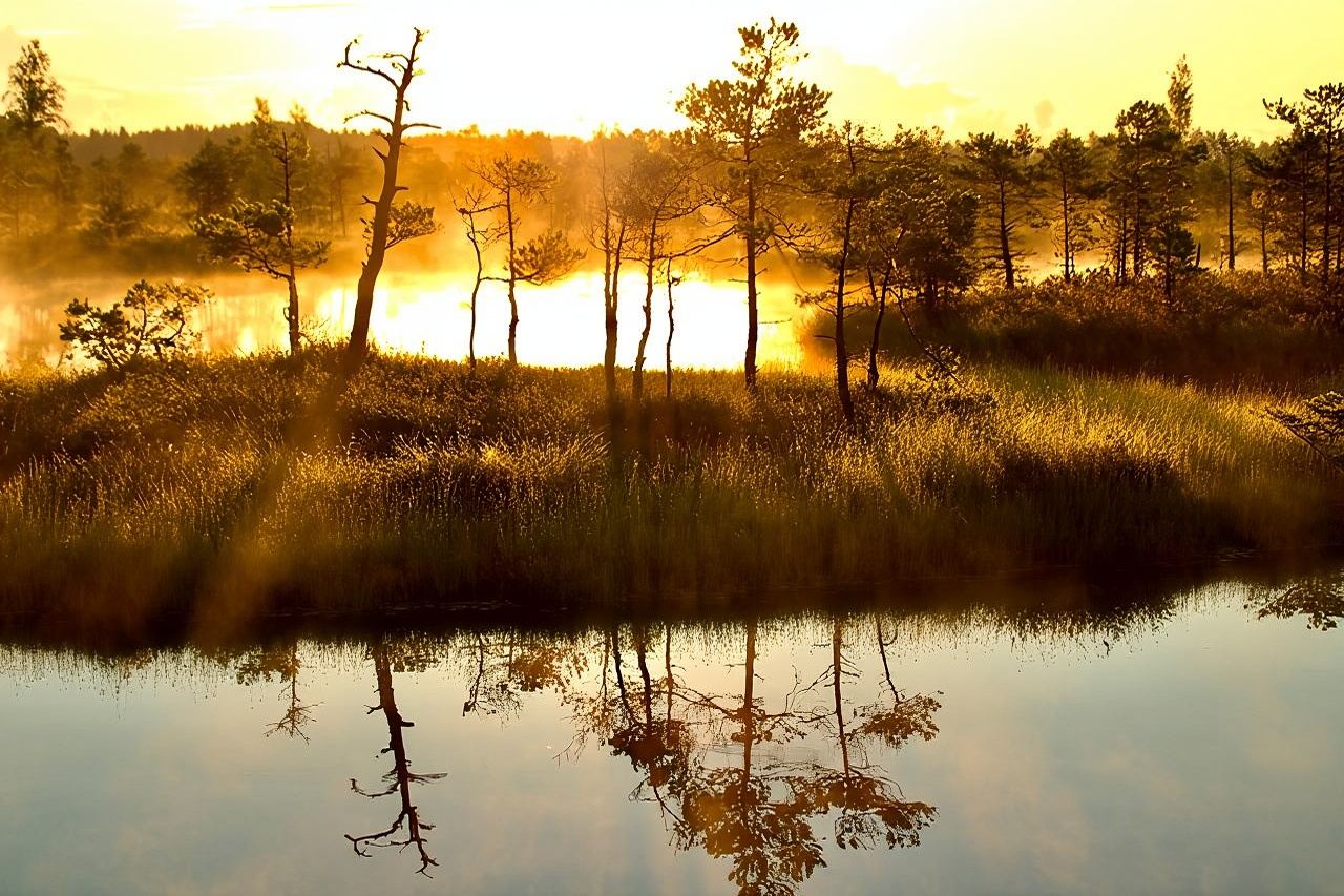 Alba al Parco Nazionale di Kemeri - Piccolo gruppo