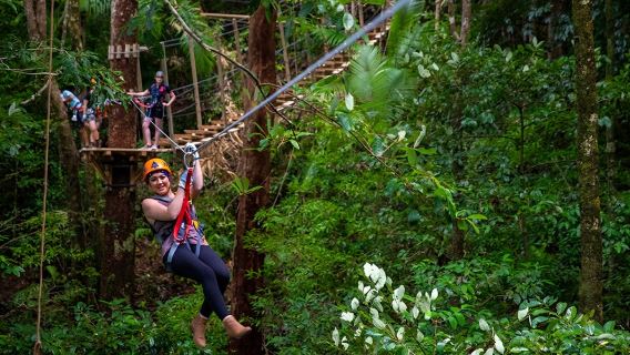 Treetops Adventure - Cape Tribulation