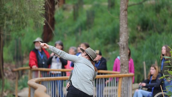 Berjalan dengan Hidupan Liar: Lawatan Berpandu di Great Ocean Road