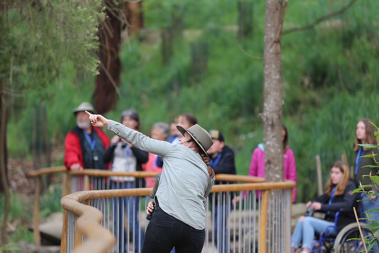 Paseo con la fauna: Visita guiada por la Great Ocean Road