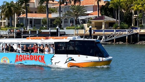 Aquaduck Sunshine Coast 1 Hour City Tour and River Cruise