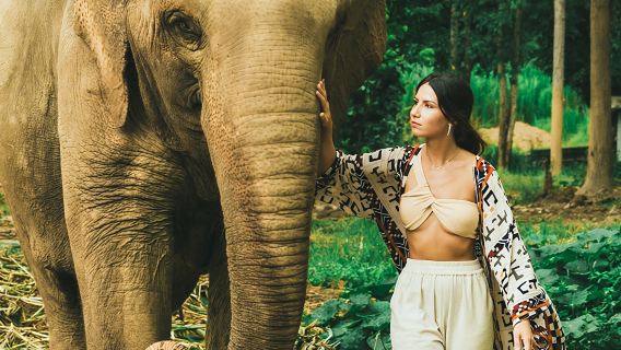 Туры по Таиланду: полудневной тур в заповедник слонов «Зеленое королевство» в Краби — купание и кормление слонов, интерактивная программа для всей семьи