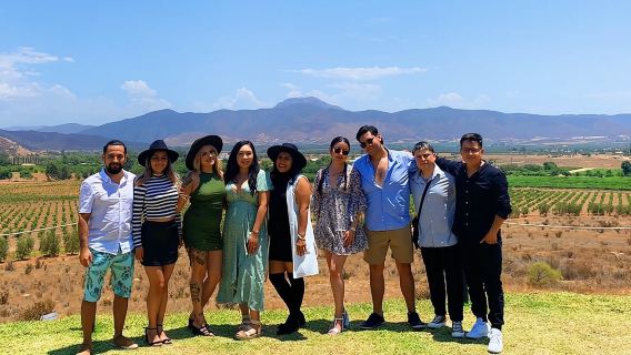 Valle de Guadalupe private tour, in a group is better! (since 10 to 19 persons).