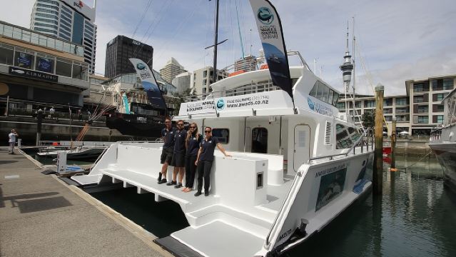 Auckland Dolphin and Whale Watching Eco-Safari Cruise