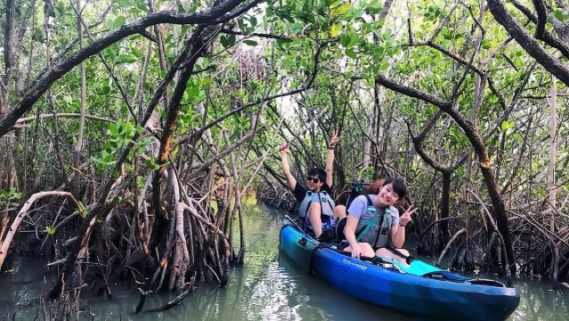 Thousand Island Mangrove Tunnel, Manatee & Dolphin Kayak Tour w/Cocoa Kayaking