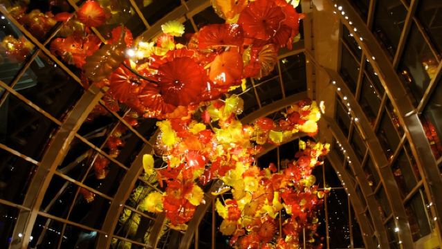 美國西雅圖市區一日遊-可訂製多日【中文專車-舒適純淨】