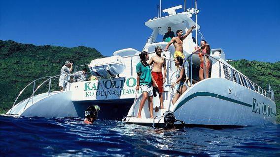 Crociera Premium con snorkeling e osservazione di balene e delfini