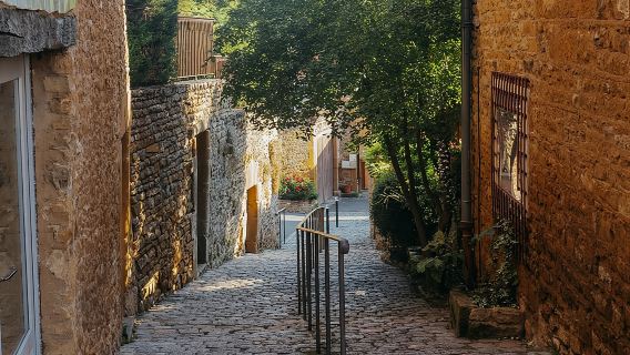 excursión de un día a Golden Stone Beaujolais con degustaciones