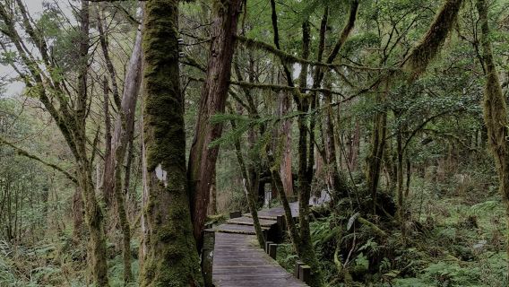 From Taipei: Taipingshan & Jiuzhize Hot Spring Private Tour