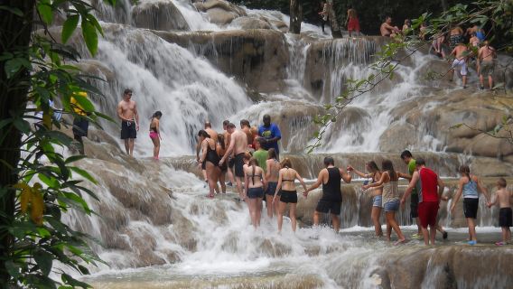 From Montego Bay: Dunns River Waterfall Hike