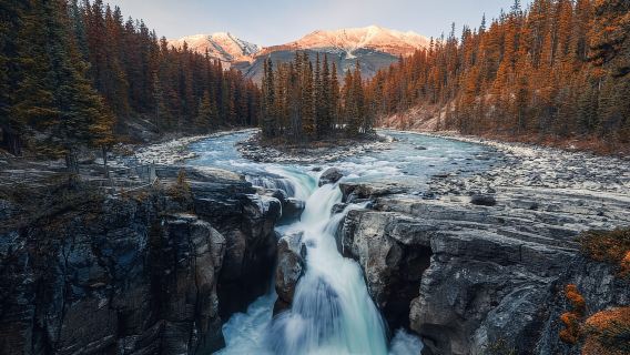 น้ำตก Athabasca/ฟองน้ำแข็ง Abraham, น้ำตก Sunwapta, ทะเลสาบ Peyto