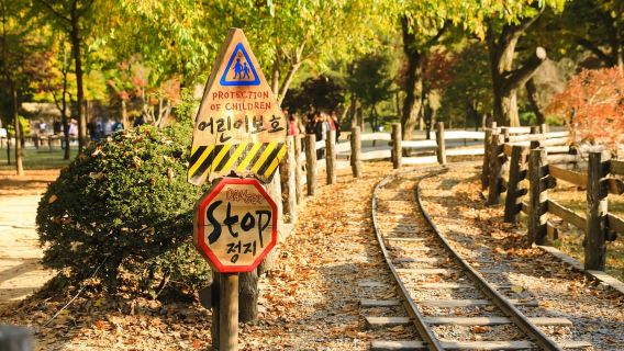 Seoul: Nami Island & Railbike & Begonia Bird Park Day Tour