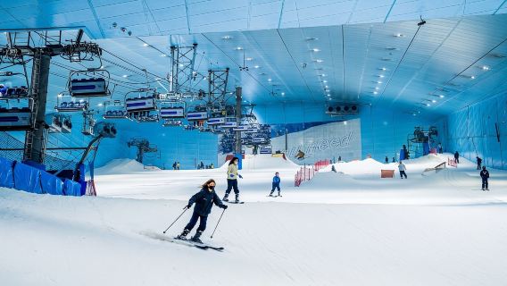Ski Dubai Snow-Plus Pass with Private Transfers
