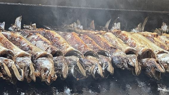 Vrsar : Fjord de Lim - Pique-nique de poissons à Rovinj