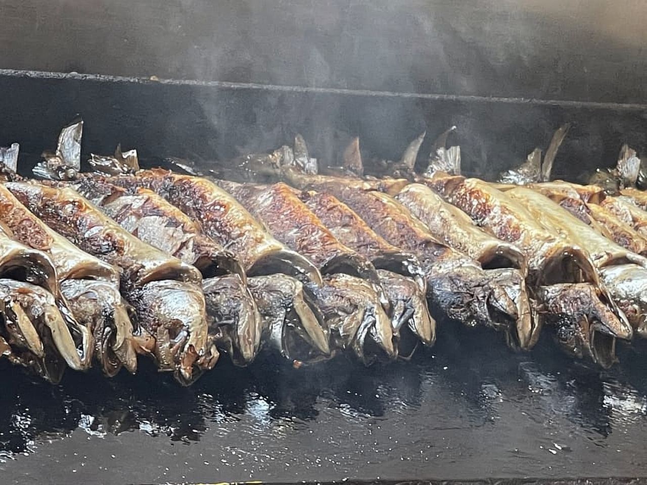 ヴルサル：リムフィヨルド - ロヴィニの魚釣りピクニック