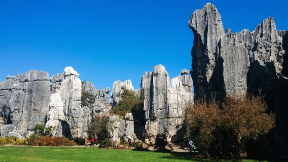 Kunming Stone Forest Private Tour: Malerische Spaziergänge + Reiseführer Einblicke