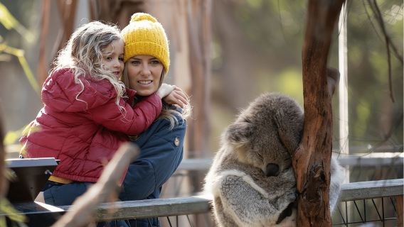 Pas Tarikan Tanpa Had Melbourne