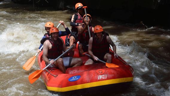 Ayung River Thrills: Ultimate White-Water Rafting Journey