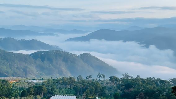 Da Lat: Cloud Hunting, experience Da Lat special products