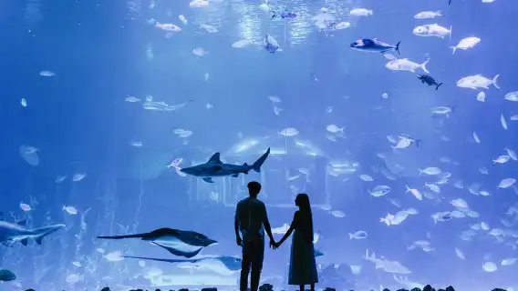 Poema del Mar Skip-the-Line Ticket