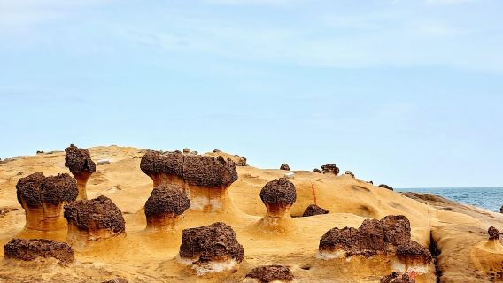 Taipeh: Unbegrenzter FunPass – Transport- und Attraktionen-Pass