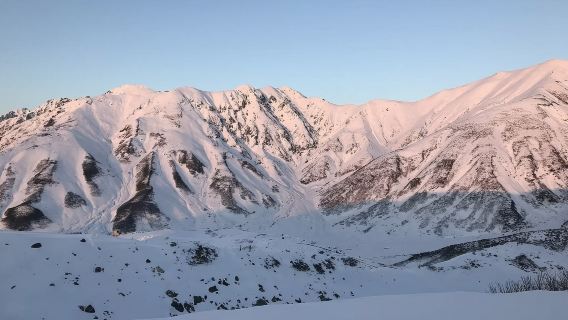 Partenza da Tokyo | Onsen delle scimmie di neve al parco Jigokudani e sukiyaki di manzo a Nagano