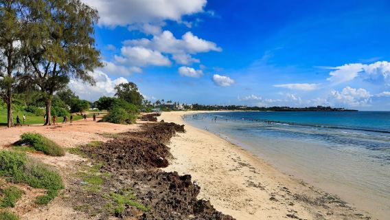 坦桑尼亞達累斯薩｜ 旅遊陪同翻譯｜ 展會｜ 商務考察洽談｜ 自由行地接｜接機 （可私人定制）