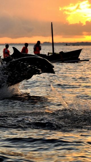 Bali: Lovina Sunrise Dolphin Watching & Snorkeling Tour with Pick-up
