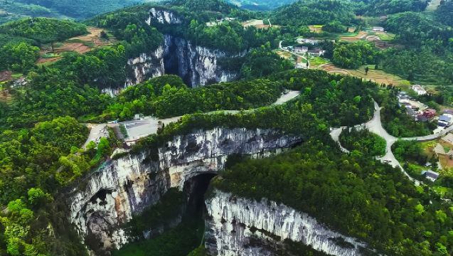 Pemandu wisata privat untuk Chongqing Wulong/Pahat Batu Dazu/Kebun Binatang Chongqing